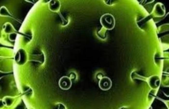 إيطاليا تسجل أكثر من 170,000 إصابة جديدة بفيروس كورونا خلال يوم