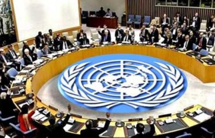مجلس الأمن يدعو للإفراج الفورى عن السفينة الإماراتية «روابى»