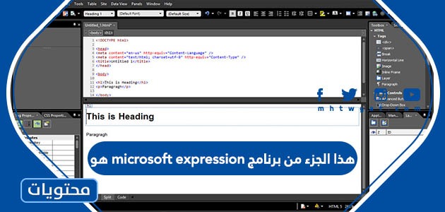 هذا جزء من برنامج Microsoft Expression