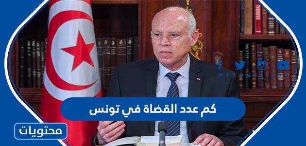 كم عدد القضاة في تونس؟